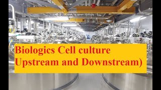 cell culture processes biological pharmaceuticaltechnology [upl. by Rhianna]