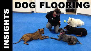 Dog Agility Daycare and Kennel Flooring Considerations [upl. by Jahn]