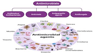 ANTIMICROBIAL AGENTGENERAL PHARMACOLOGYINTRODUCTIONPHARMACOLOGY REVISIONPHARMACYCLASSIFICATION [upl. by Eidnam]