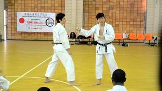 Shotokan Kata  Chinte teach by Naka Tatsuya sensei [upl. by Brinkema727]