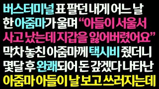 감동사연 버스터미널 표 팔던 내가 한 아주머니가 울며 아들 사고 났는데 지갑 잃어버려 서울을 못 간다길래 택시비 드렸더니 얼마후 깜짝 놀랄일이 신청사연라디오드라마사연라디오 [upl. by Ahsinuq114]