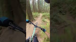 Following an mtb legend down this classic PNW trail mtb CyclesDevinci Troy [upl. by Amor]