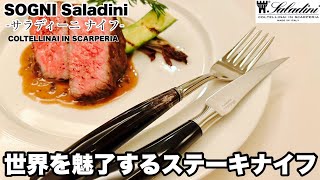 【ステーキナイフ】SOGNI Saladiniサラディーニナイフ世界の星付きレストランを魅了する切れ味をぜひご覧ください！ご贈答品にもおすすめできる逸品テーブルナイフを販売しています🇮🇹 [upl. by Ervine]