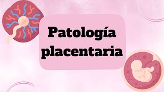 Patología placentaria [upl. by Niltyak931]