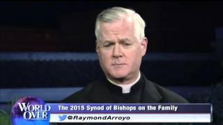 World Over  20151015  Synod Roundup–Week 2 Fr Gerald Murray Robert Royal with Raymond Arroyo [upl. by Aderfla]