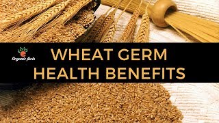 9 AMAZING BENEFITS OF WHEAT GERM  HEALTH BENEFITS OF WHEAT GERM [upl. by Latyrc]