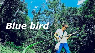 【MV】Blue bird [upl. by Magavern]