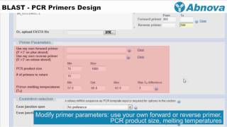 BLAST  PCR Primers Design [upl. by Bej]