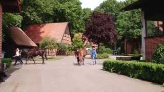 Tierklinik Brockhagen Unternehmensfilm [upl. by Ahseeyt]