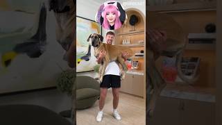 Holding Bigger And Bigger Dogs  MrBeast Challenge [upl. by Brittain]