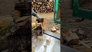 Log Splitter Double logsplitter machine woodwooding wood [upl. by Asert]