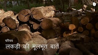 लकड़ी का काम सीखो Basics of Wood  Woodworking [upl. by Bigod]