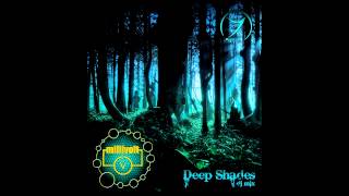 DJ Millivolt Zenon Records  Deep Shades DJ Mix 2013 [upl. by Salomi]