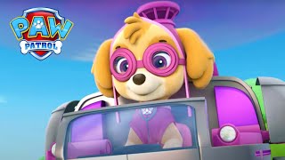 Die Pups retten ein Huhn  PAW Patrol Germany  Cartoons für Kinder [upl. by Kresic]