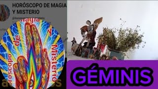 GÉMINIS ♊AUGURIOS DE MUCHA PAZ Y FELICIDAD 💫 [upl. by Annitsirhc]