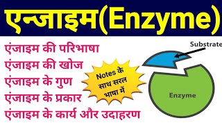 एंजाइम  enzymes in hindi  enzymes biomolecules  enzyme difinition example type function  bio [upl. by Komsa685]