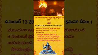 Arunachalam karthika deepam December 2024 13  bharni deepam ma ha deepam 🙏 [upl. by Barbee806]