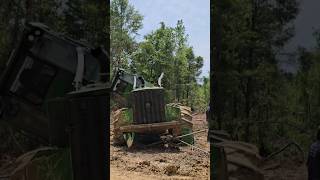 Two Deeres Down‼️ logger trucking logginglife logger trending loggerlife treecutter [upl. by Sullivan]