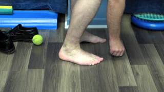 Tibialis Posterior and Fibularis Longus Rehabilitation [upl. by Tare]