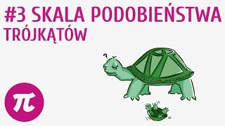 Skala podobieństwa trójkątów 3  Podobieństwo wielokątów [upl. by Bennett]