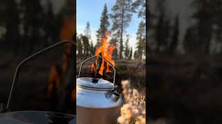 Morning coffee in norwegian forest [upl. by Burbank]