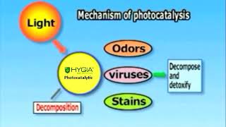 Mechanism Photocatalysis [upl. by Unhsiv993]