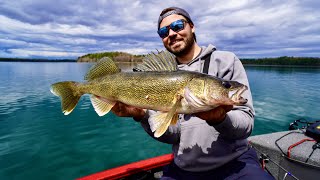 Sharpshooting BIG Walleyes in Crystal Clear Water Northern Wisconsin Opener [upl. by Ldnek]