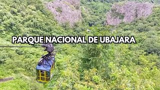 PARQUE NACIONAL DE UBAJARA no Ceará  Serra da Ibiapaba [upl. by Anel]