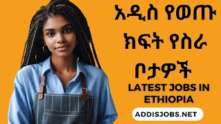 አዳዲስ ክፍት የስራ ቦታዎች  Latest Jobs in Ethiopia 2024 [upl. by Ettenoj750]