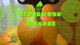 Title Theme  A Clockwork Orange  Played by Denise Hewitt [upl. by Teri]