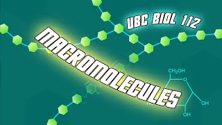 Introduction to Macromolecules  Biol 112 at UBC [upl. by Orola]