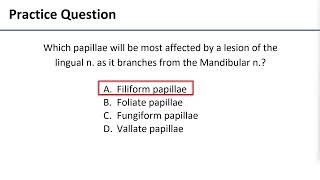 6 Papillae of Tongue [upl. by Noslen78]