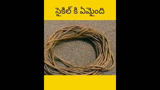 Vellu cycle tho assalu em cheystharu telugu facts amazingfacts [upl. by Clair]