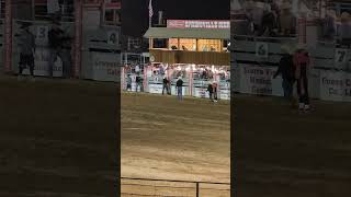 Ooh stepped on bullriding cowboys rodeodr rodeo rodeos rodeosport pbr bullride horse [upl. by Adnorrahs]