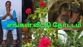 எங்கள் வீட்டு தோட்டம் Engal veet Thottam my graden in tamil [upl. by Jewel398]