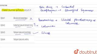 Ciliated columnar epithelium occurs in [upl. by Yesrod]