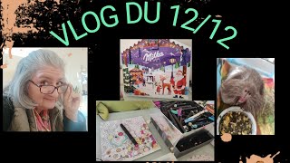 VLOGMASS  12122024  Soleil MOCHI story Time Milka rangement [upl. by Ahsennod]