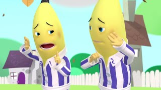 The Windiest Day Ever  Bananas in Pyjamas Season 1  Full Episodes  Bananas In Pyjamas [upl. by Laekcim510]