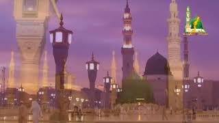 marhaba marhaba mustafa aa gaye By Shahi Abbas Naath e Shifa [upl. by Steffi]