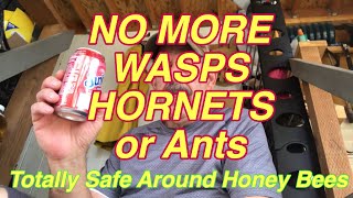 Safely kill ALL Hornets Yellow Jackets and Wasps for 12 mile Safe for honeybees [upl. by Tobi]