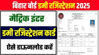 Bihar Board 12th Registration Card Download 2024 Matric Dummy Registration Card Download link 2025 [upl. by Haas507]