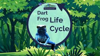 Dart Frog Life Cycle [upl. by Cesya701]