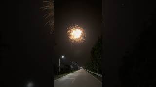 Sparkle amp Boom fireworks [upl. by Gadmann]