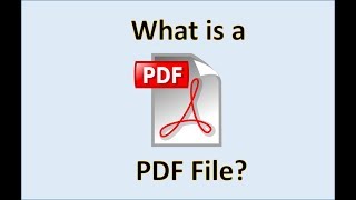 Computer Fundamentals  PDF Format  What is a PDF File How To Use Create amp Make PDF Files in Word [upl. by Pernick151]