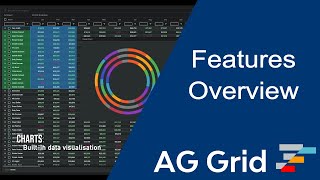 AG Grid Features Overview [upl. by Leksehcey]