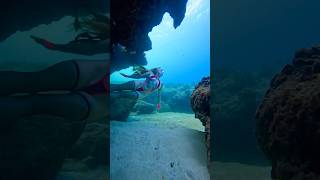 🩷🖤🩷🖤🩷 underwater freediver freediving [upl. by Annirtak]