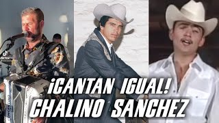 Top 5  Personas que cantan como CHALINO SANCHEZ  SCRUBBER MUSIC [upl. by Cherrita780]