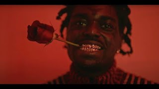 Kodak Black  Catch Fire Official Music Video Review [upl. by Moffit]