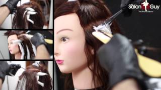 Balayage Hair Color Technique Demo [upl. by Nitnerb]