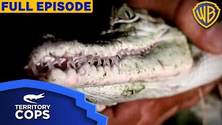 From Accidents to Crocodiles Probies Diverse Challenges on the Job  Territory Cops S01E02 [upl. by Anigger]